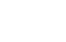 LVT logo